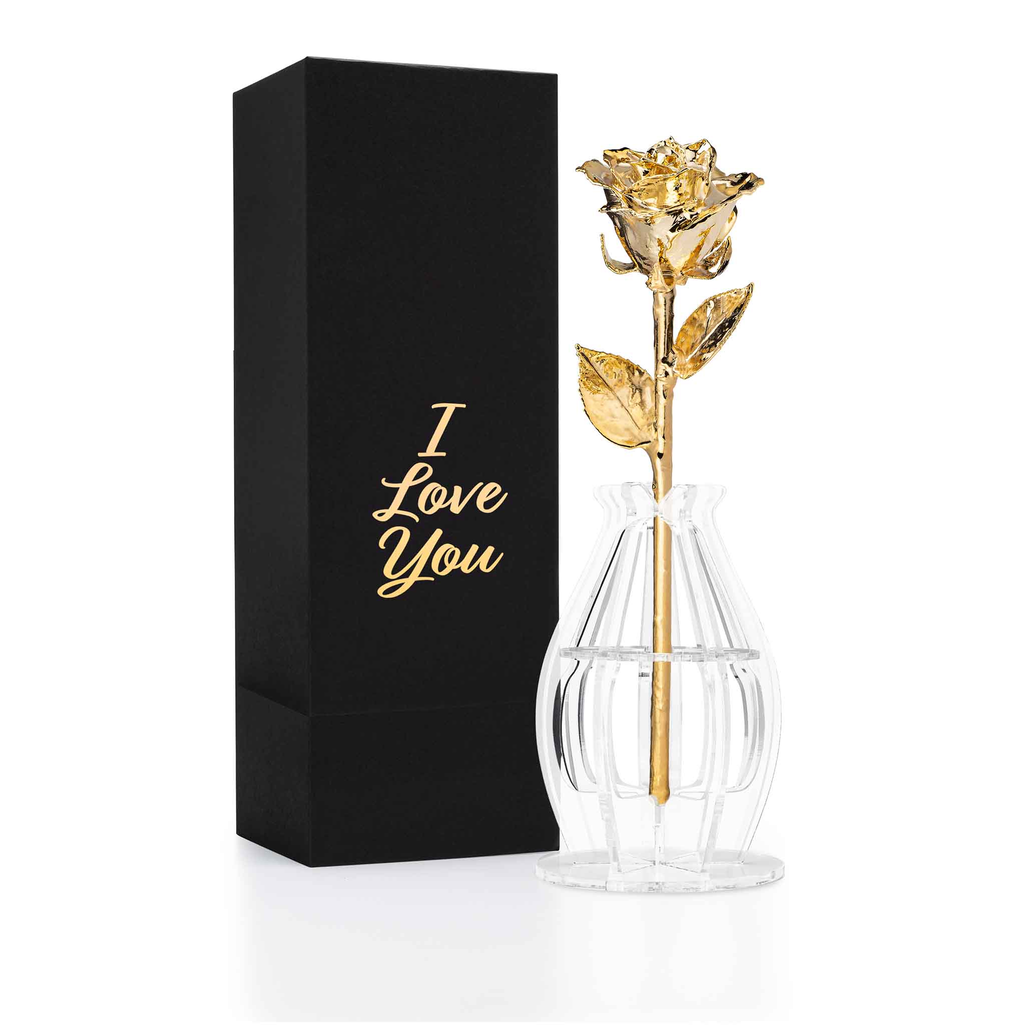 Featured Forever Rose Collection
